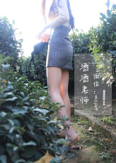 进阶的巨人
